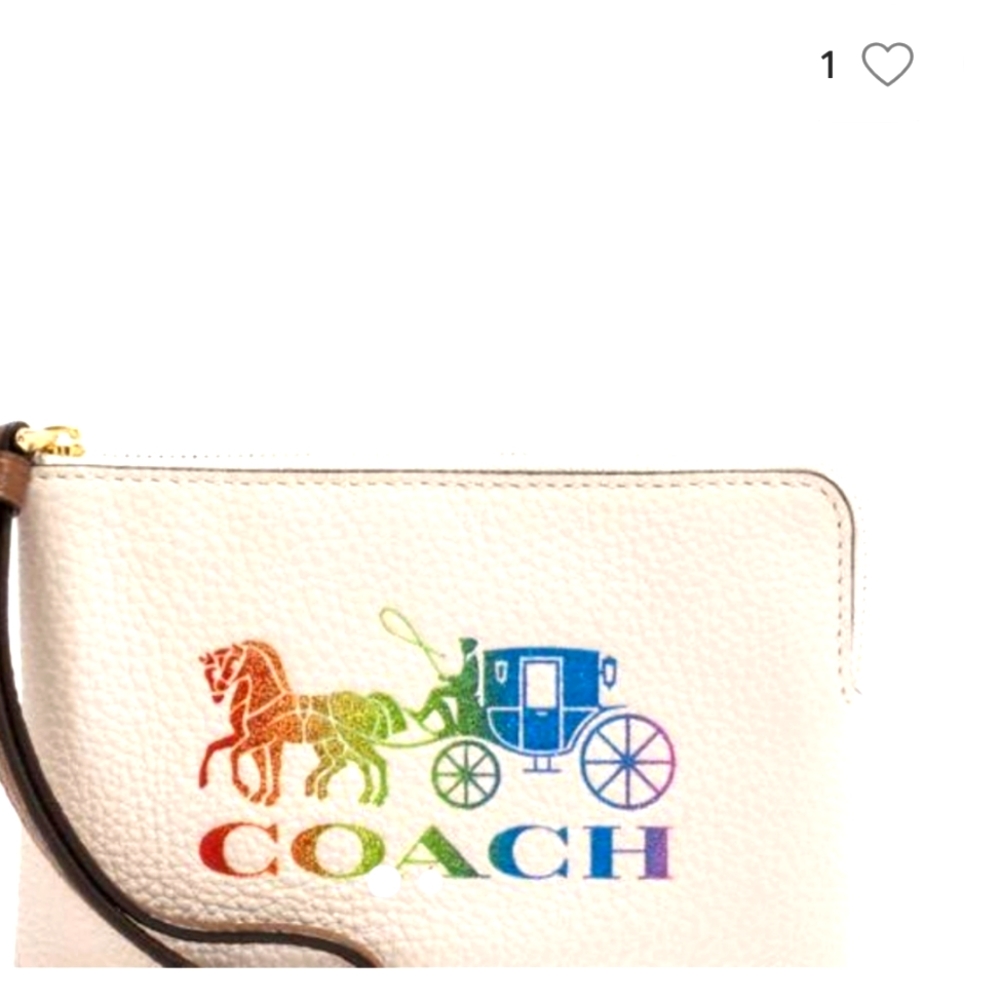 Coach pride Rainbow horse and Carriage